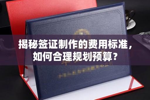 海丰揭秘签证制作的费用标准，如何合理规划预算？